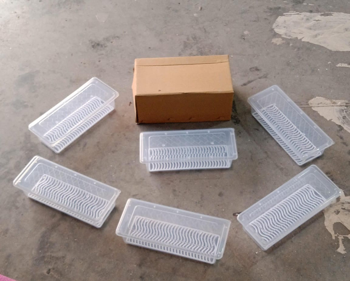 6-Pack Fridge Storage Boxes