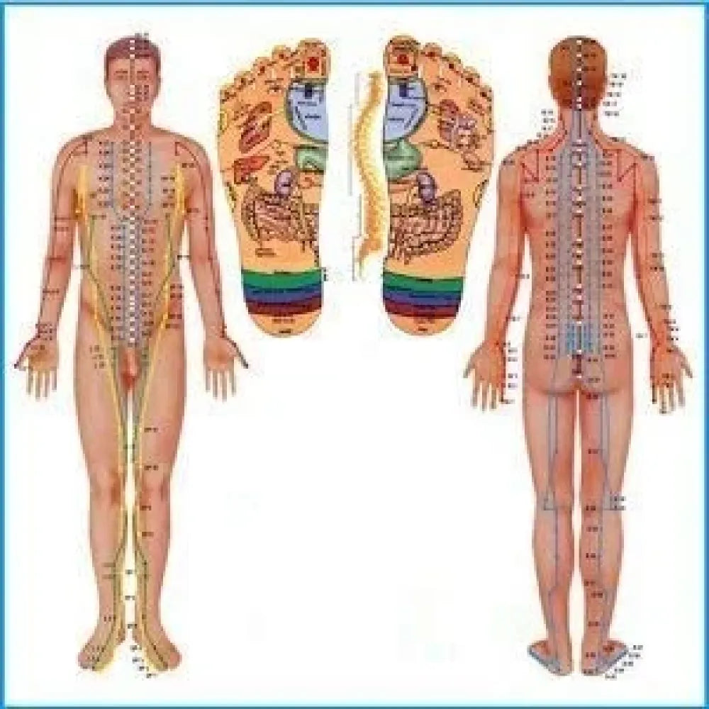 Magnetic height booster massager
