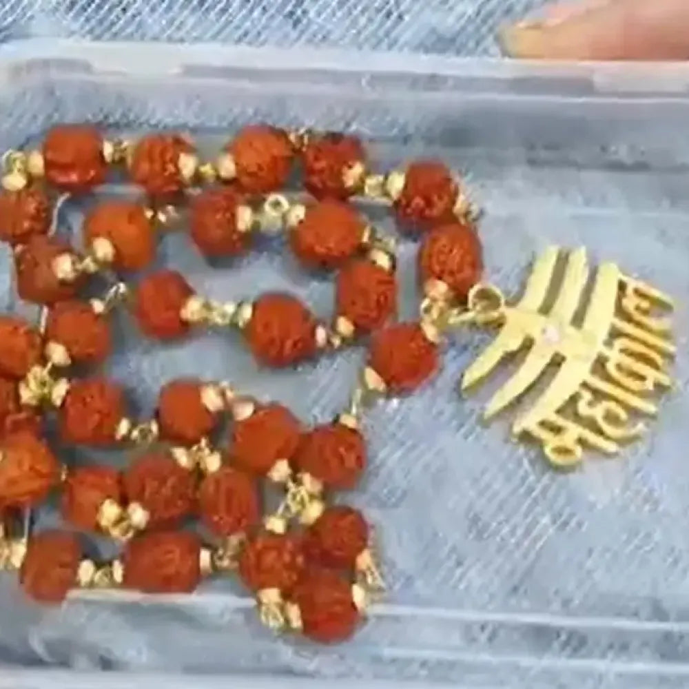 Traditional 108-bead rudraksha mala with ornate pendant necklace - potential heroes