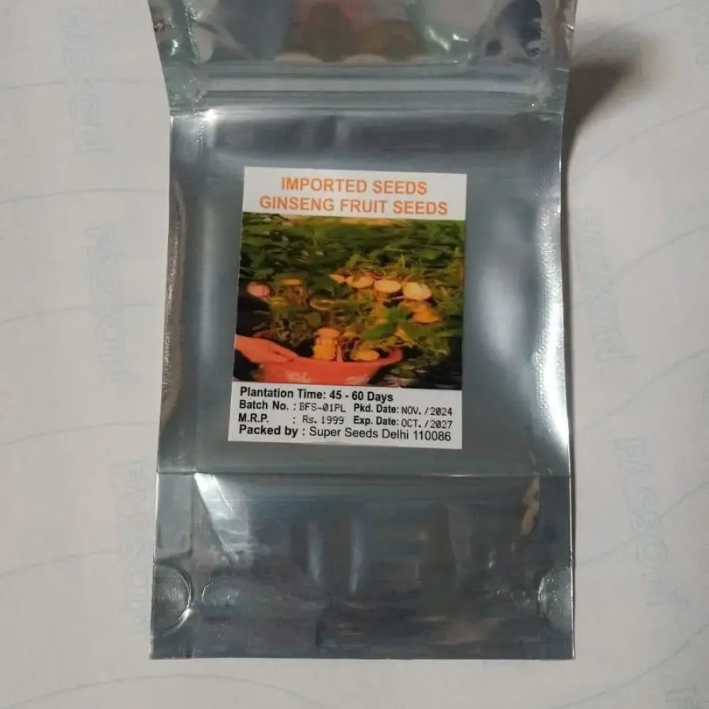 Medicinal ginseng fruit seeds - gardening