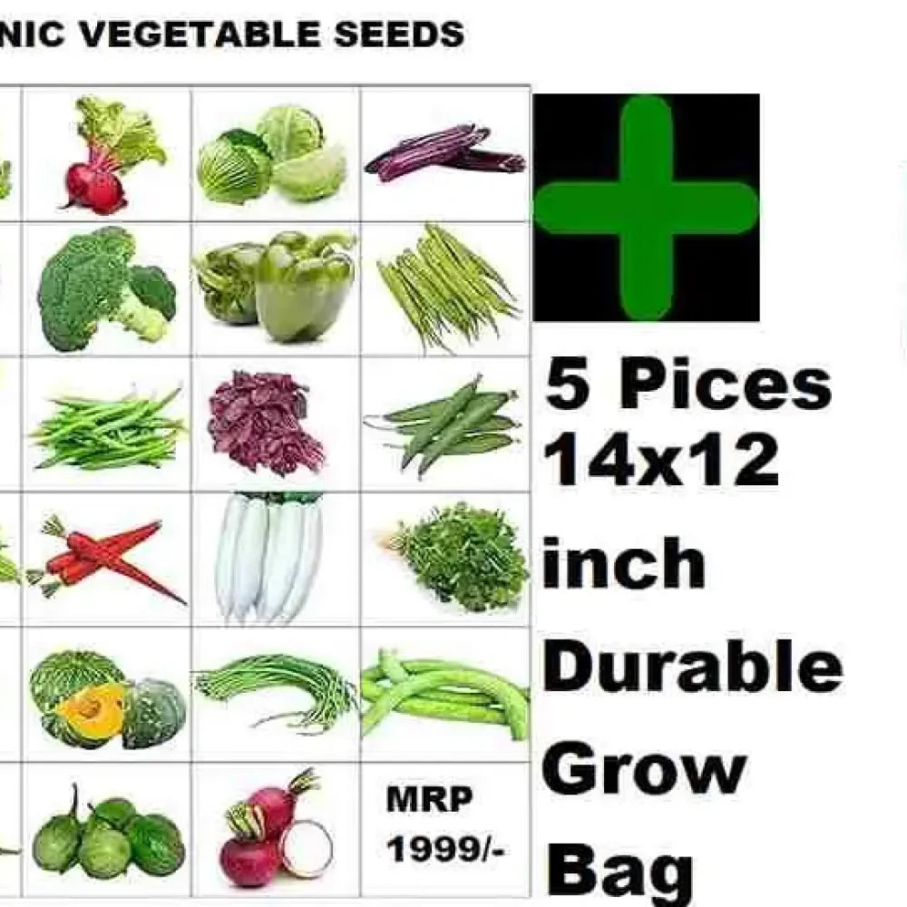 Organic seed & grow kit - gardening