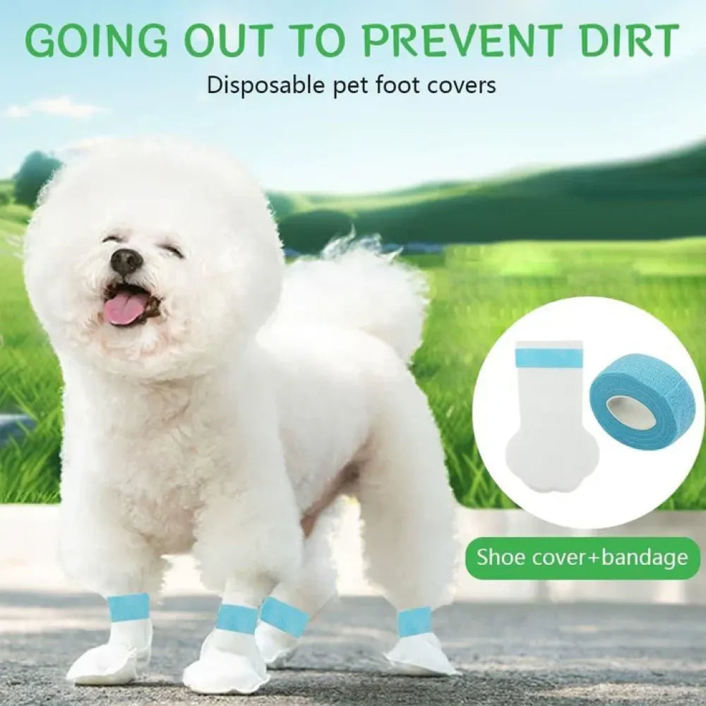Pawpocket waste scoops