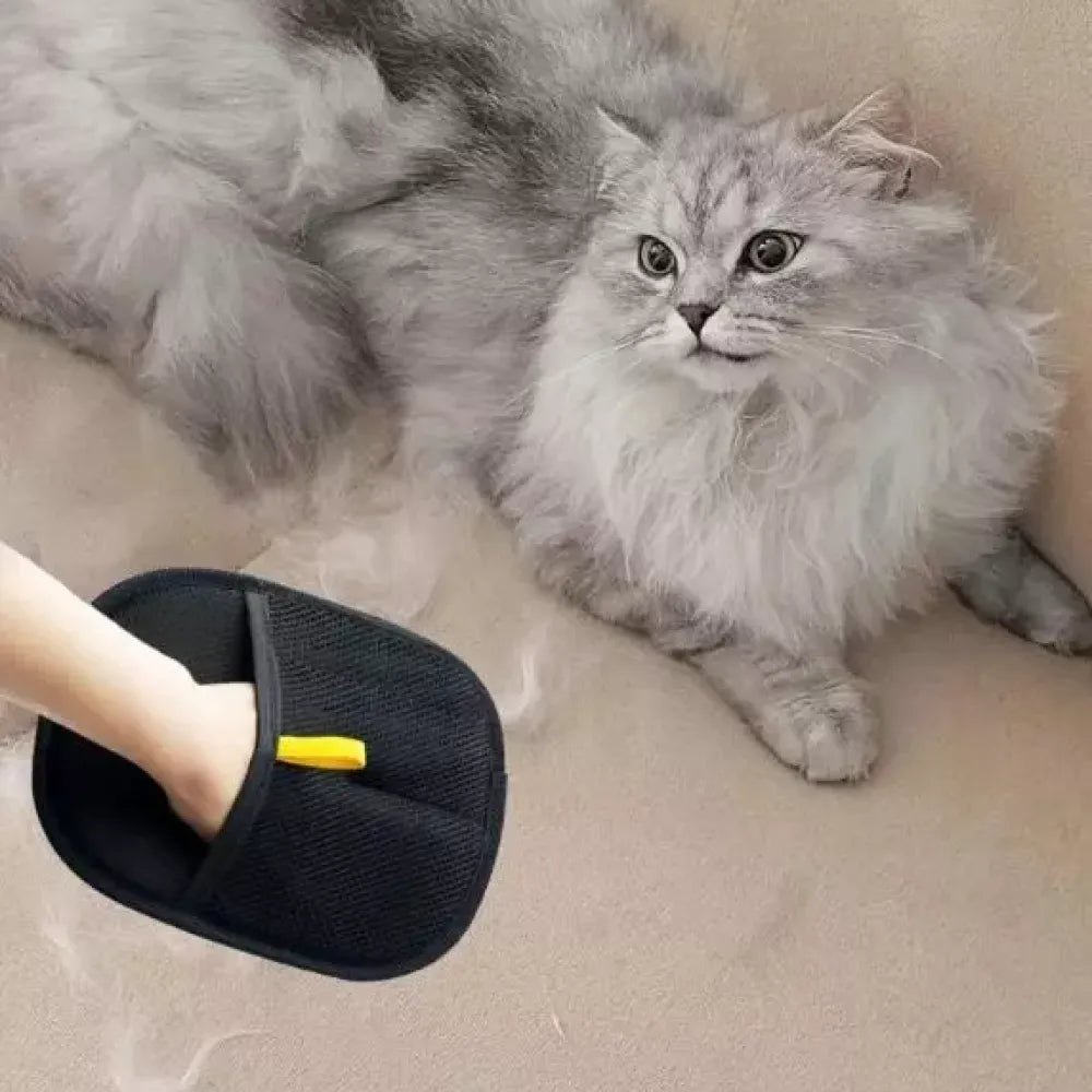 Pet hair removal gloves - home essentials