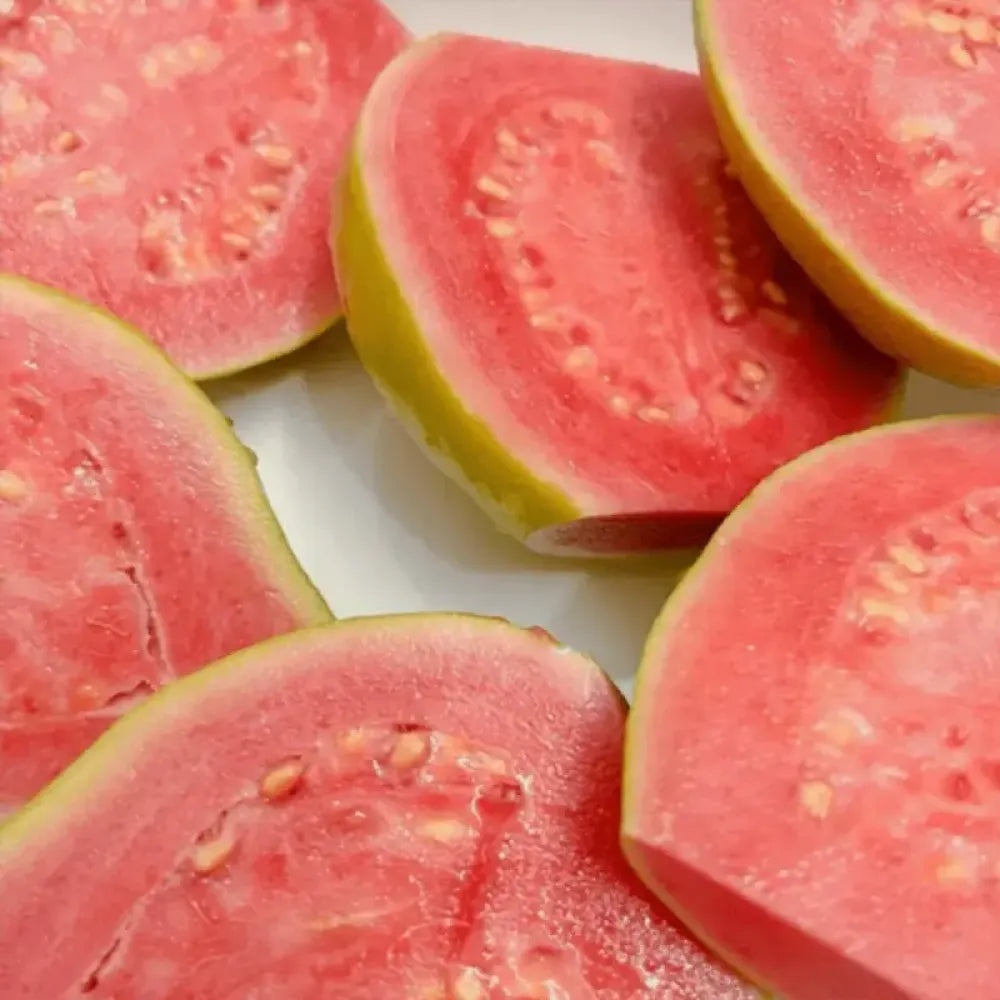 Pink guava seeds (20) - gardening