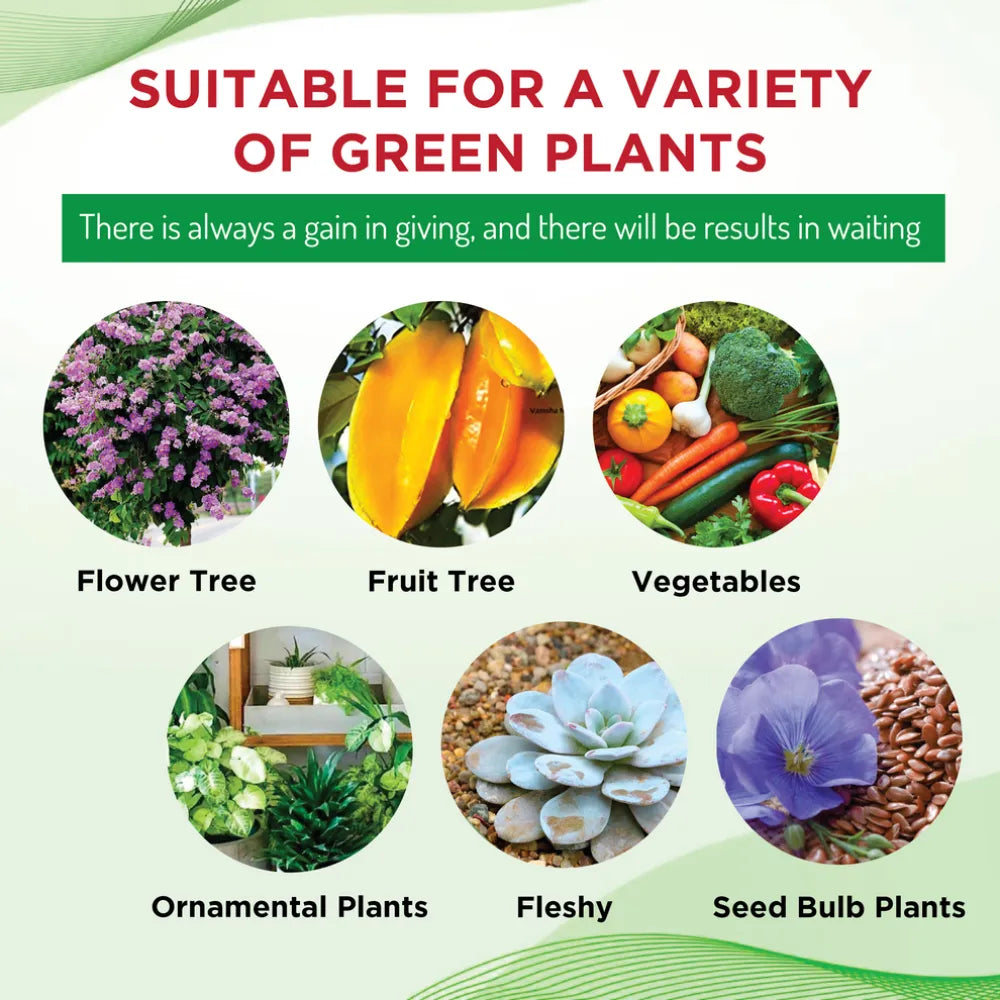 Variety of green plants.