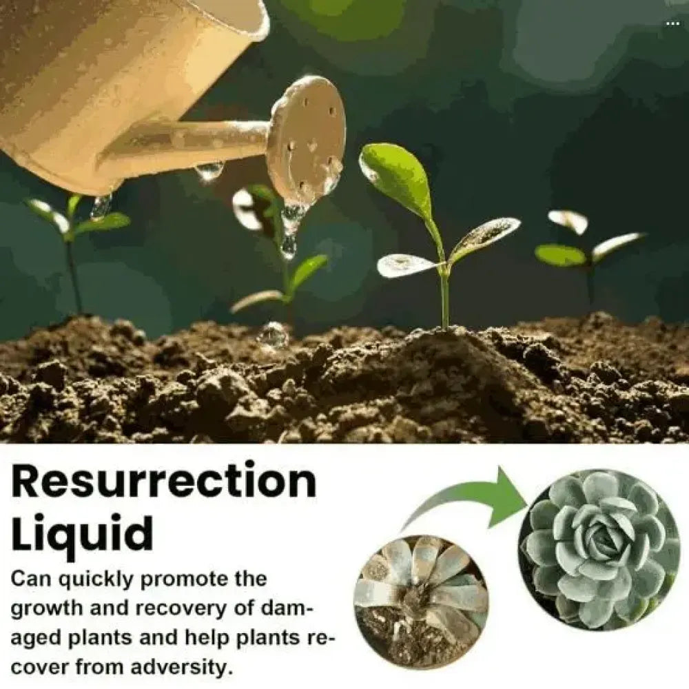Plant revival liquid - gardening