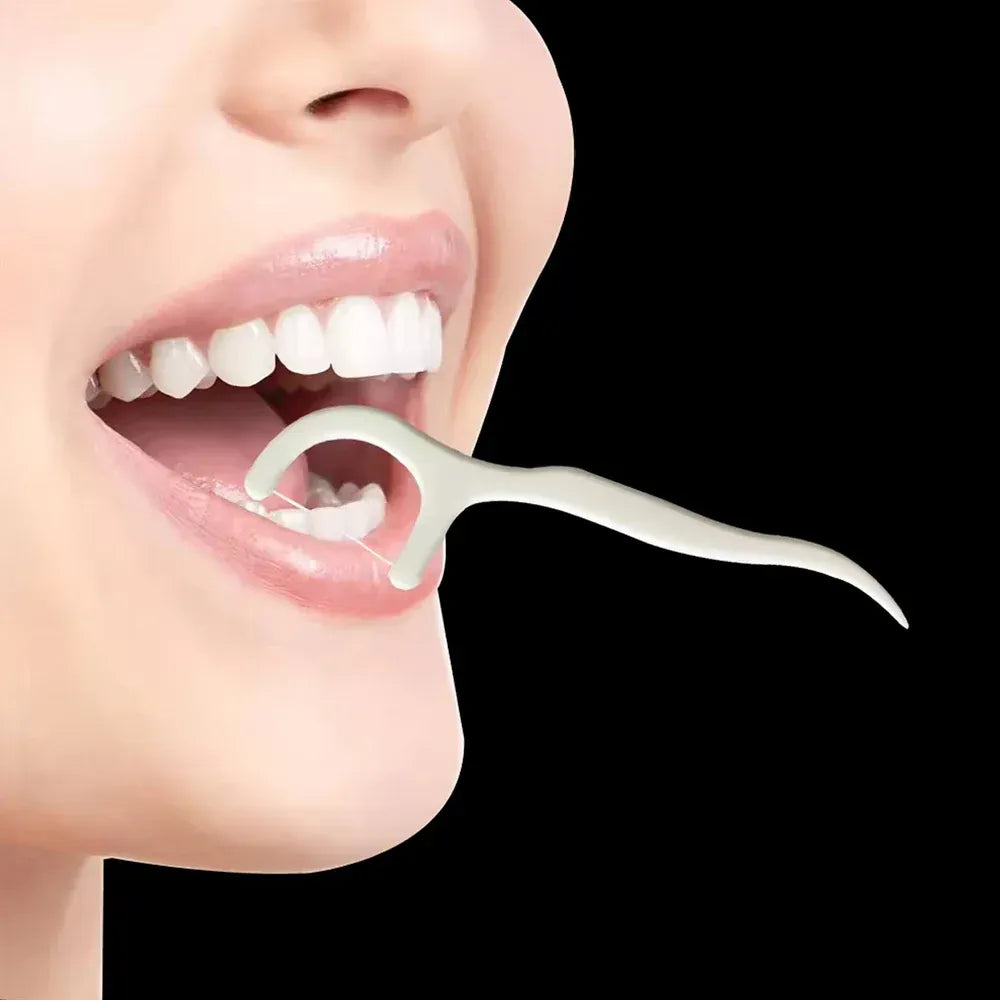 Portable dental floss picks - health care