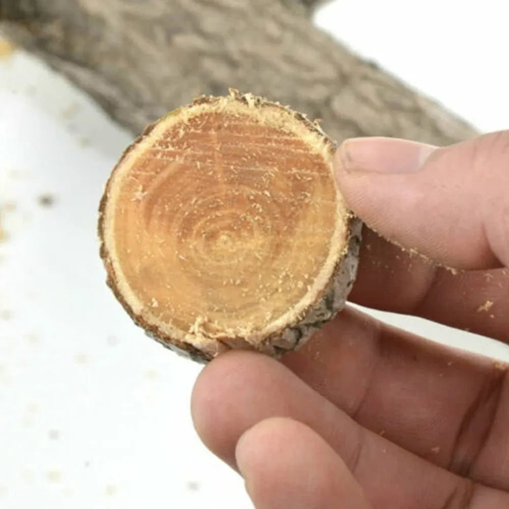 Portable pruning power saw - garden