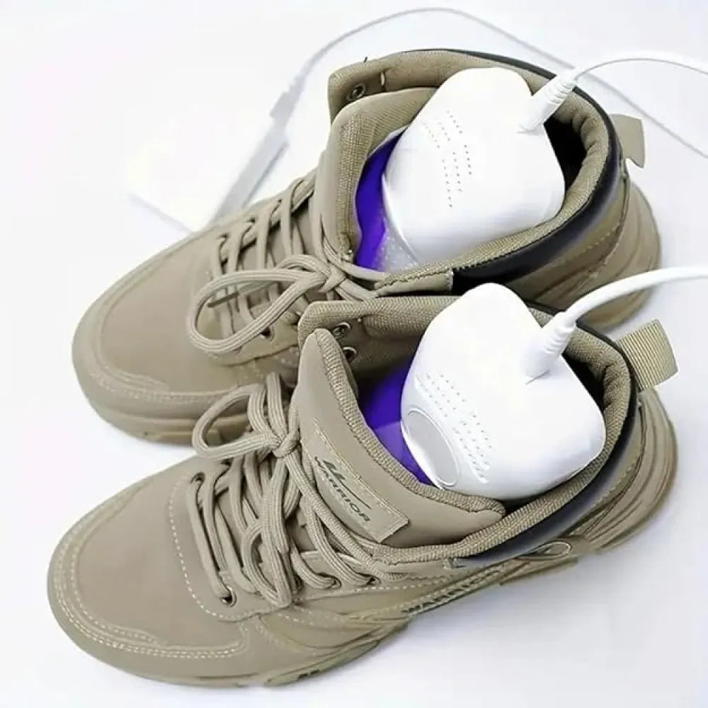 Portable shoe dryer