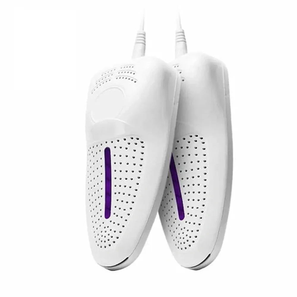 Portable shoe dryer