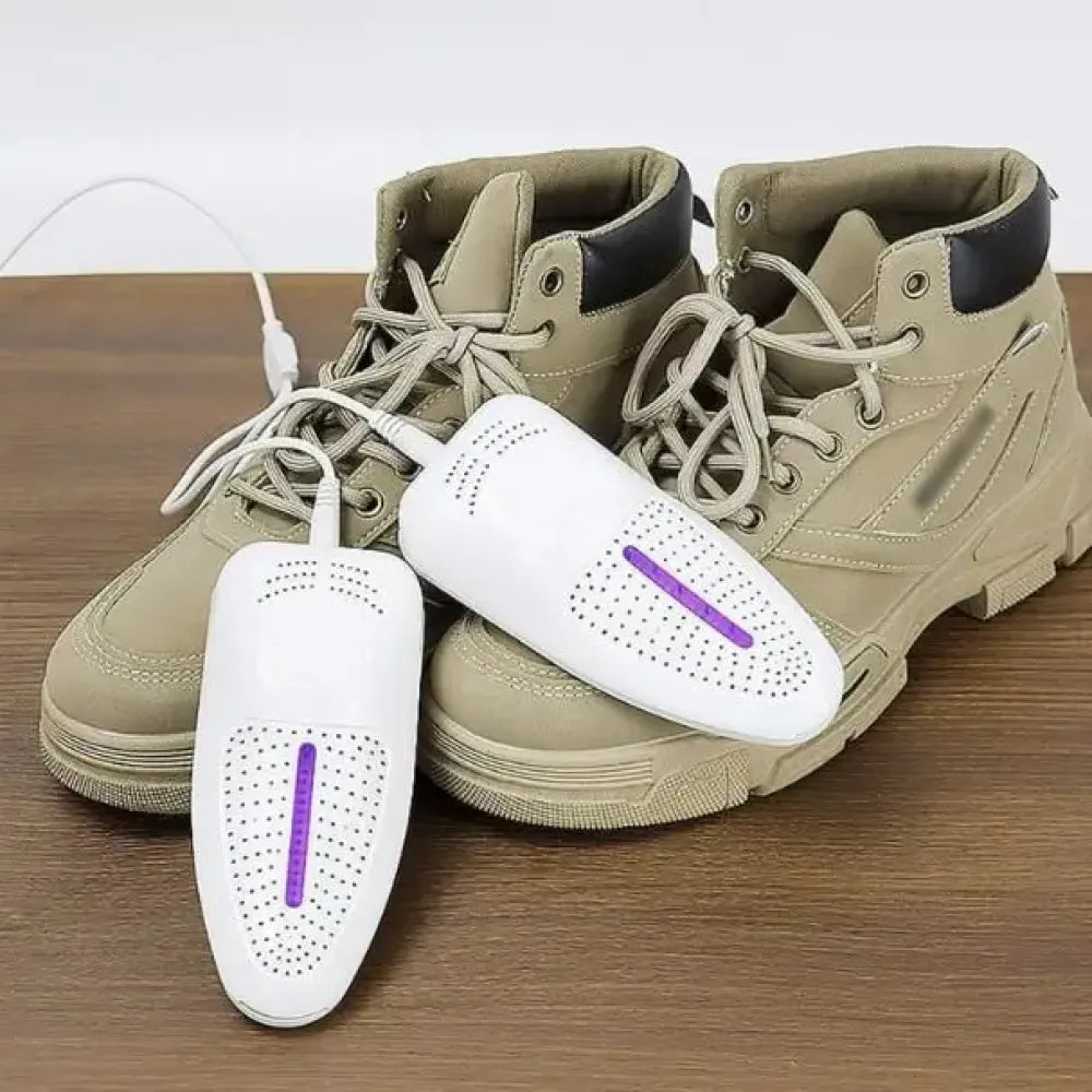 Portable shoe dryer