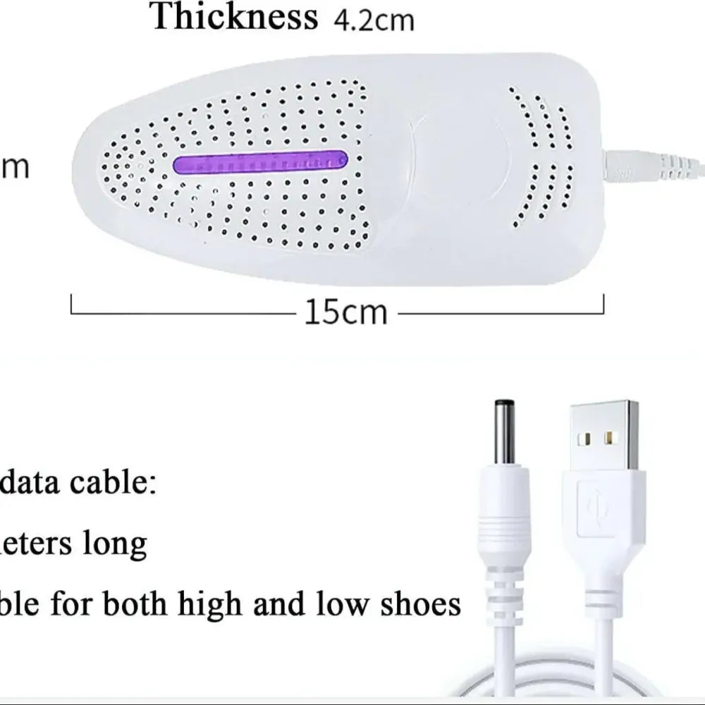 Portable shoe dryer