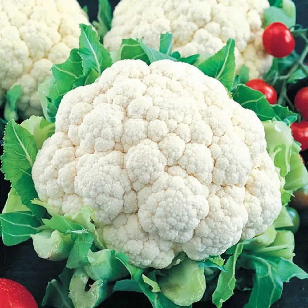 Premium cauliflower seeds (20) - gardening