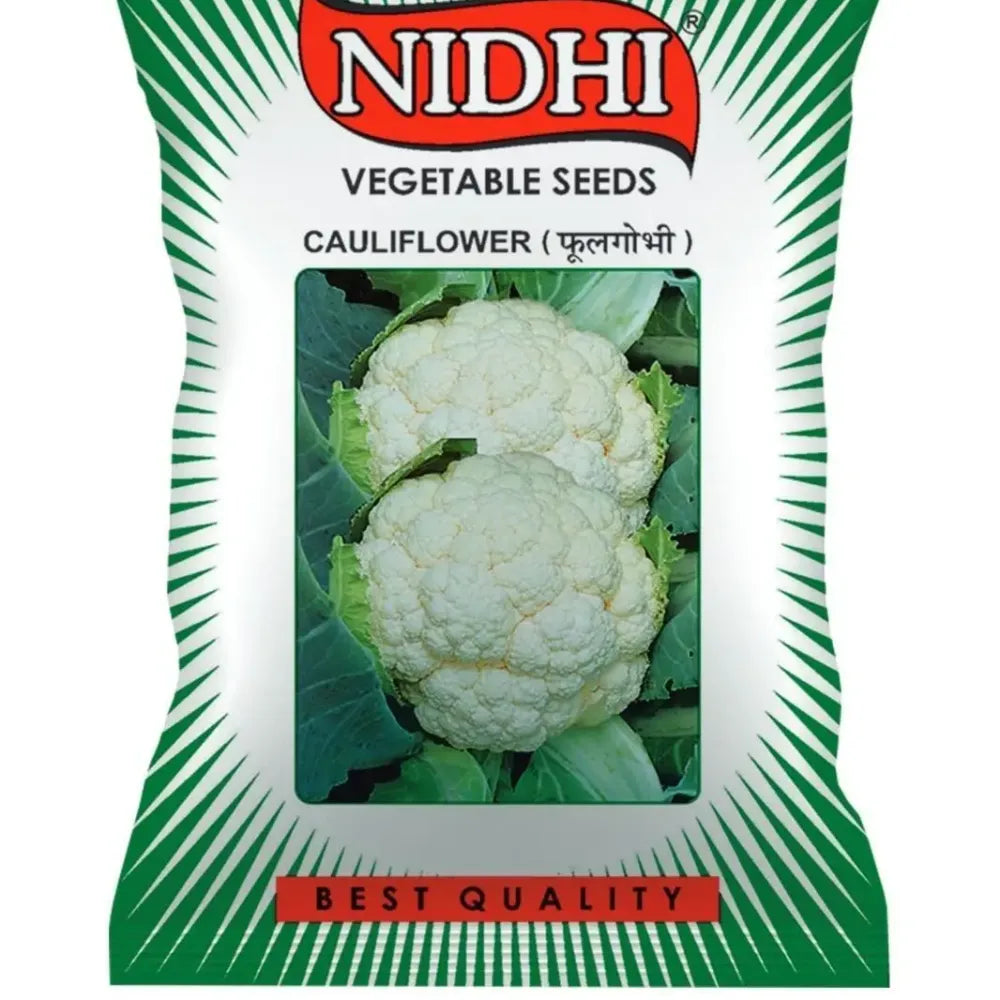 Premium cauliflower seeds (20) - gardening