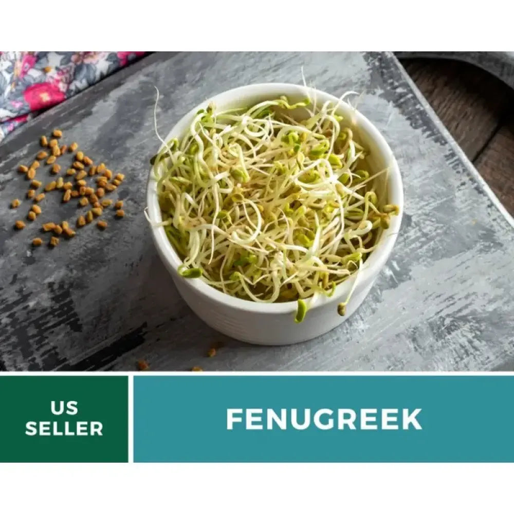 Premium fenugreek seeds (20) - gardening
