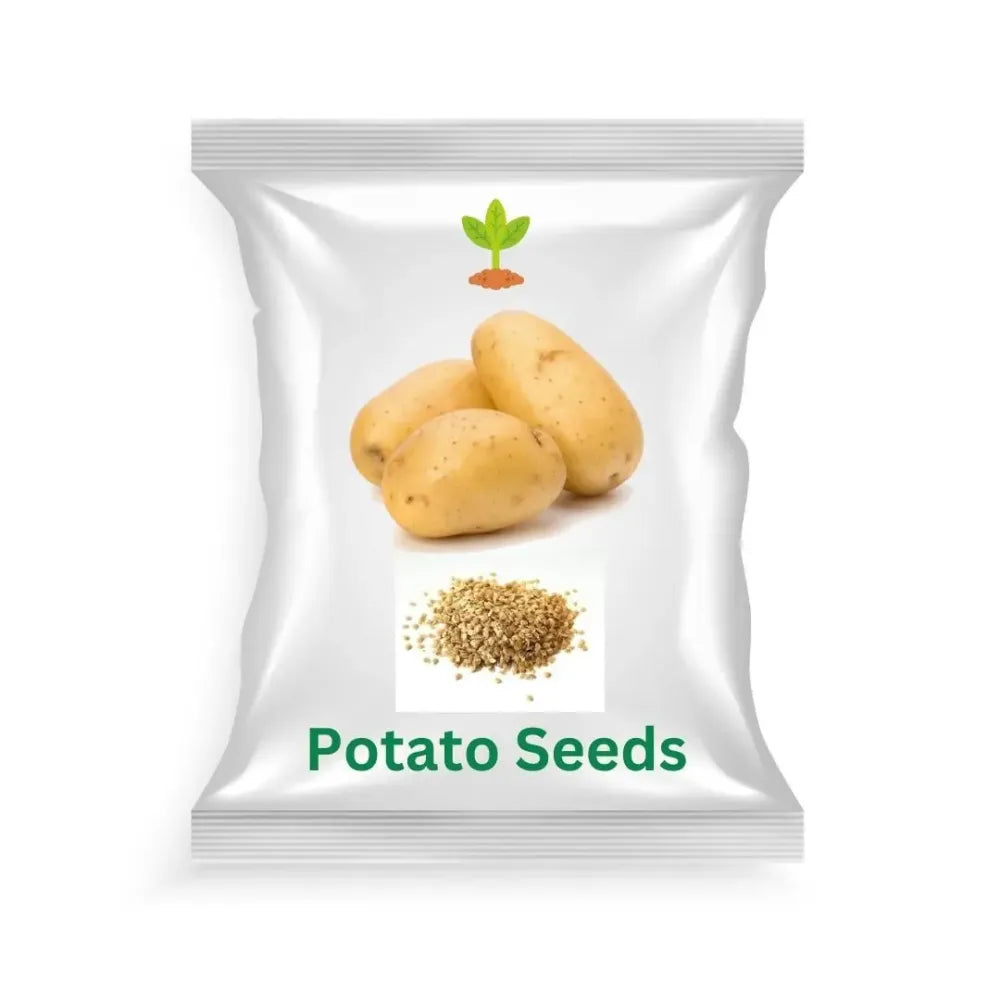 Premium seed potatoes