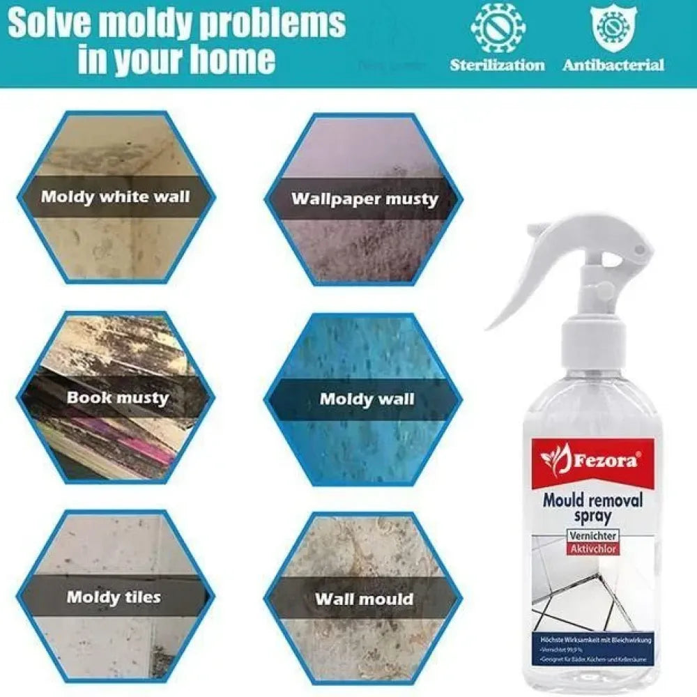 Pro-strength mold killer