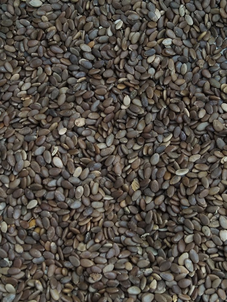 Organic Red Apple Seeds