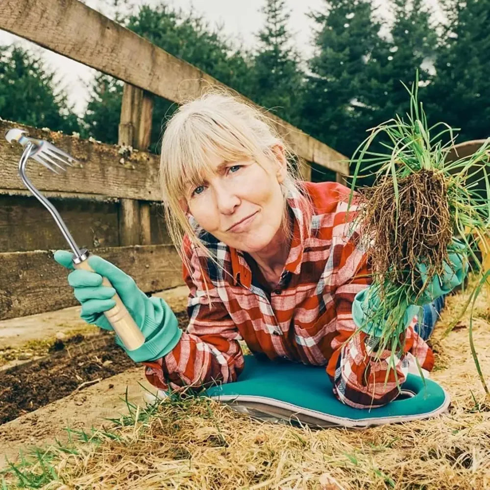 Professional weeding tool - home essentials