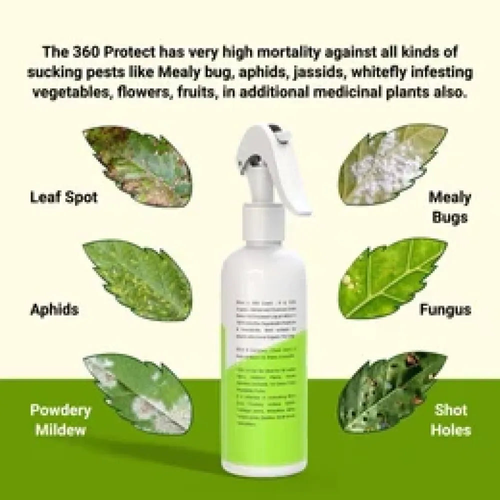 Pure neem plant spray – pack of 2