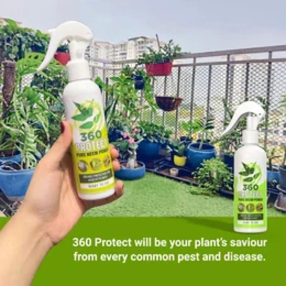 Pure neem plant spray – pack of 2