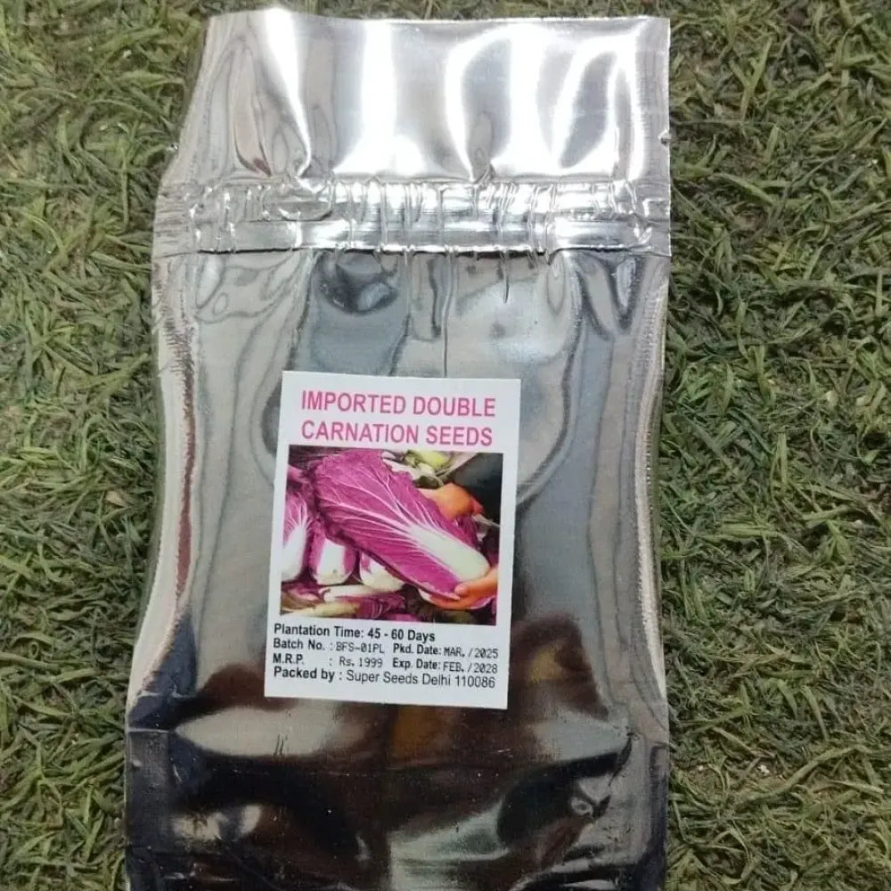 Purple cabbage seeds