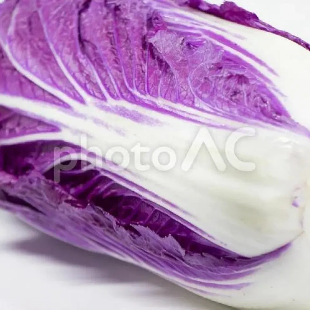 Purple cabbage seeds