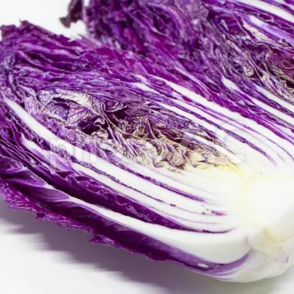 Purple cabbage seeds