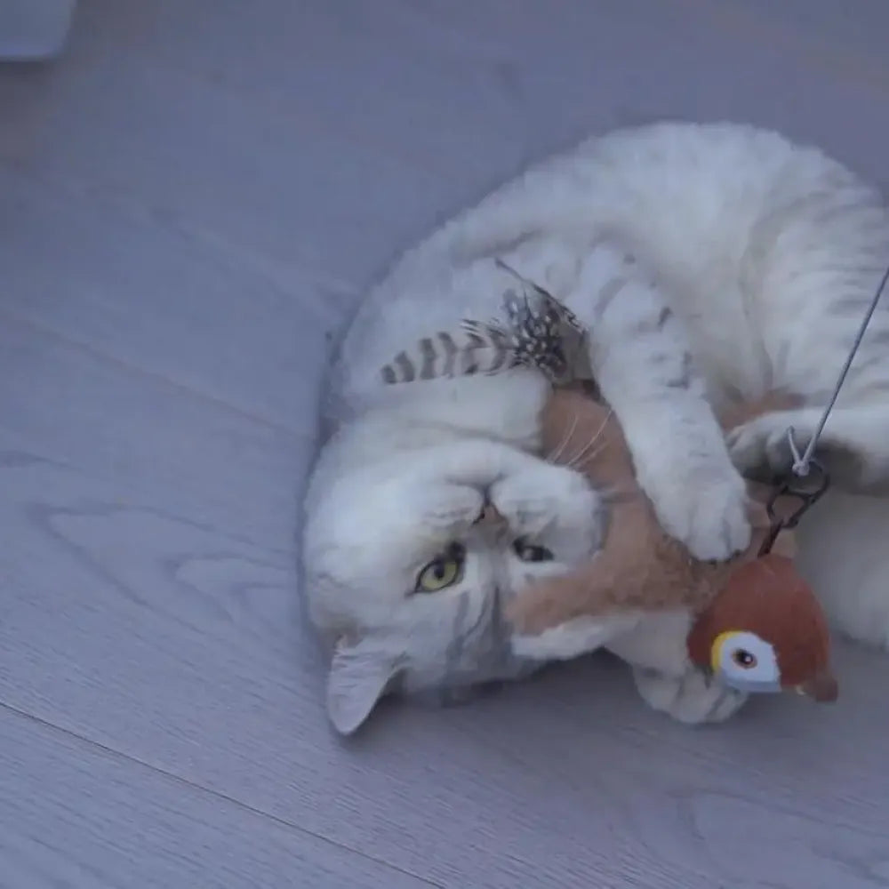 Rechargeable flapping cat toy
