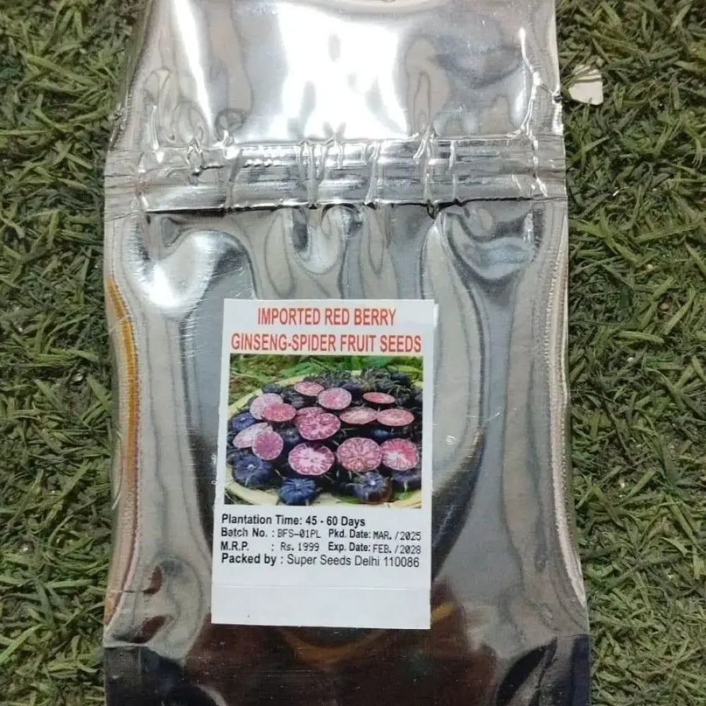 Red berry ginseng seeds