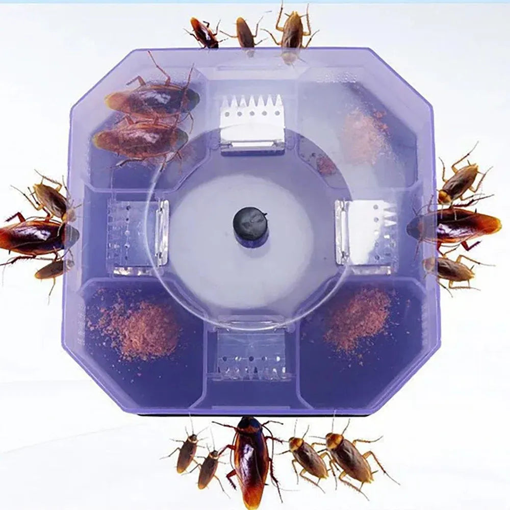 Reusable cockroach trap box - home & kitchen