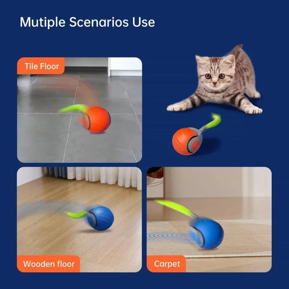Rolling ball cat toy