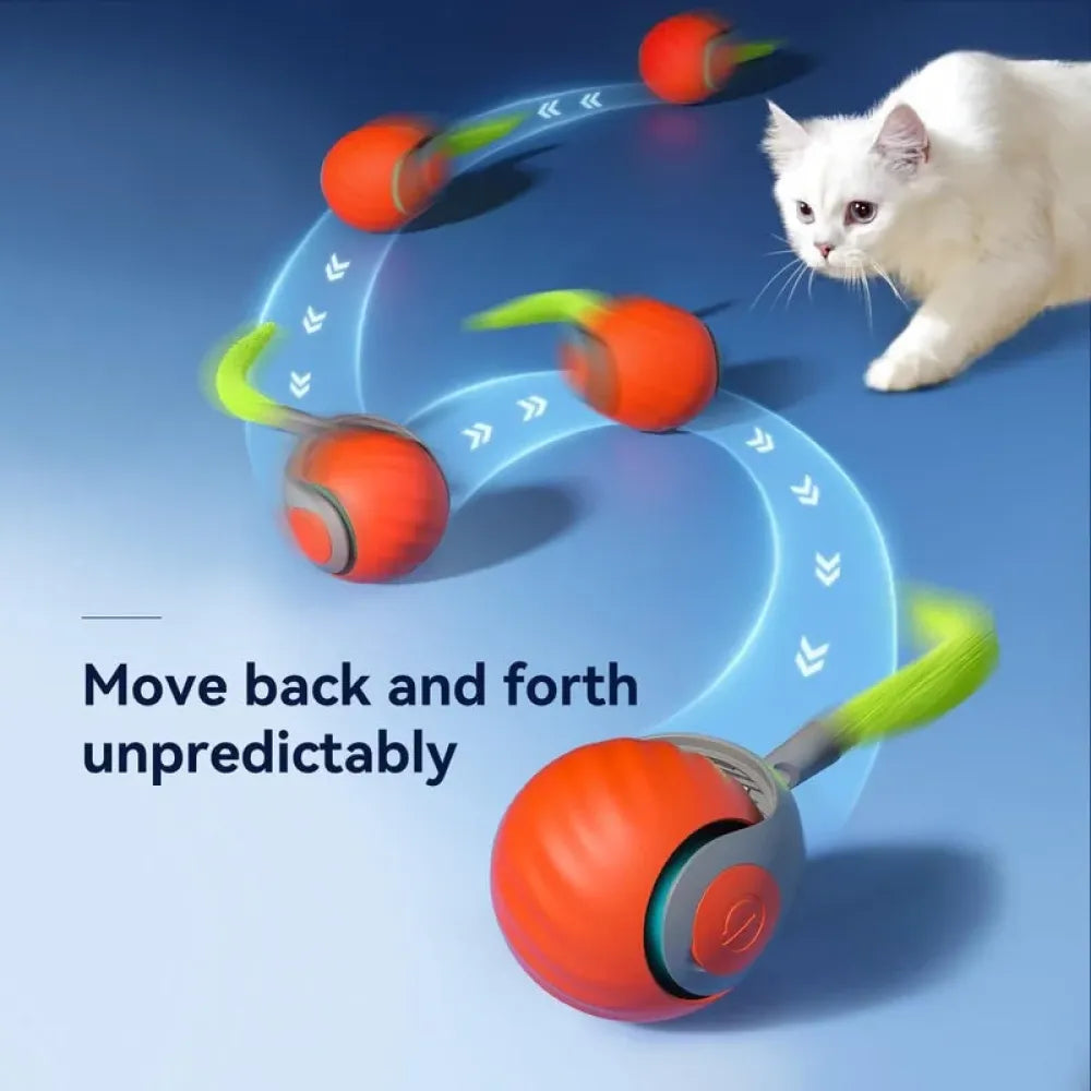 Rolling ball cat toy