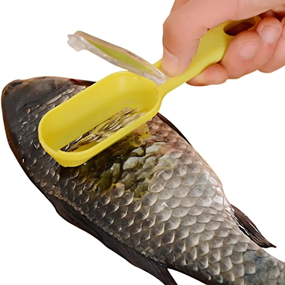 Fish Scale Scraper Tool