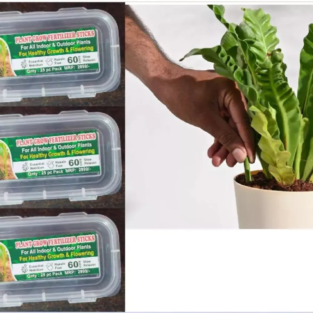 Smart-release plant food sticks - home essentials