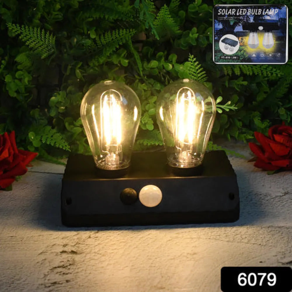 Solar-powered double led lamp - electronics