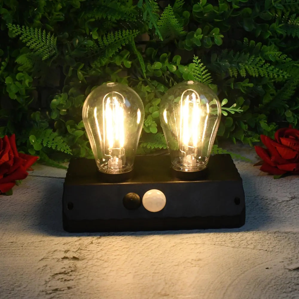 Solar-powered double led lamp - electronics