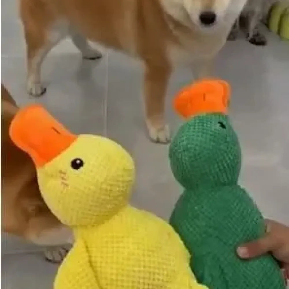 Squeaky plush dog toy