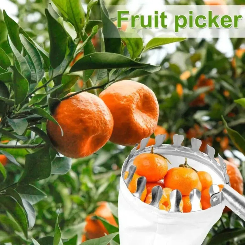 Steel fruit picking tool