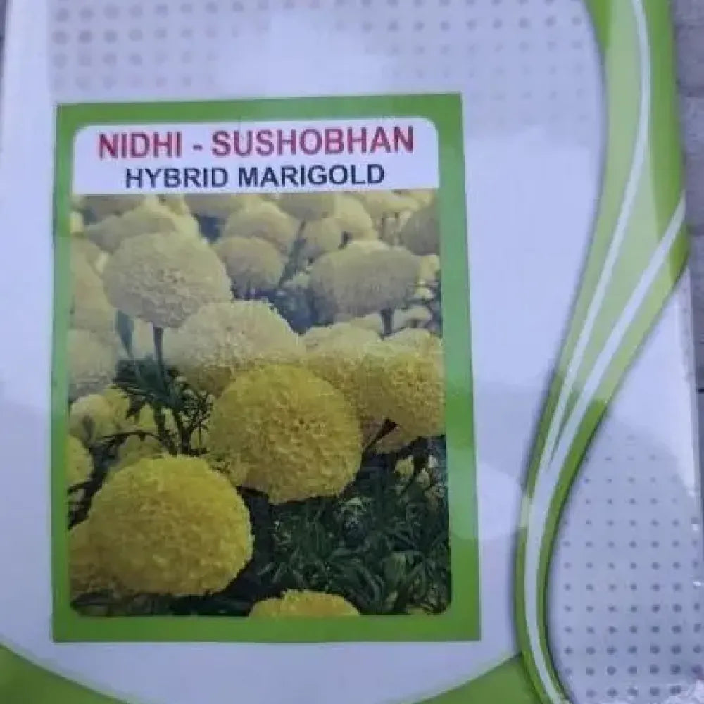 Sunny yellow marigold seeds - gardening