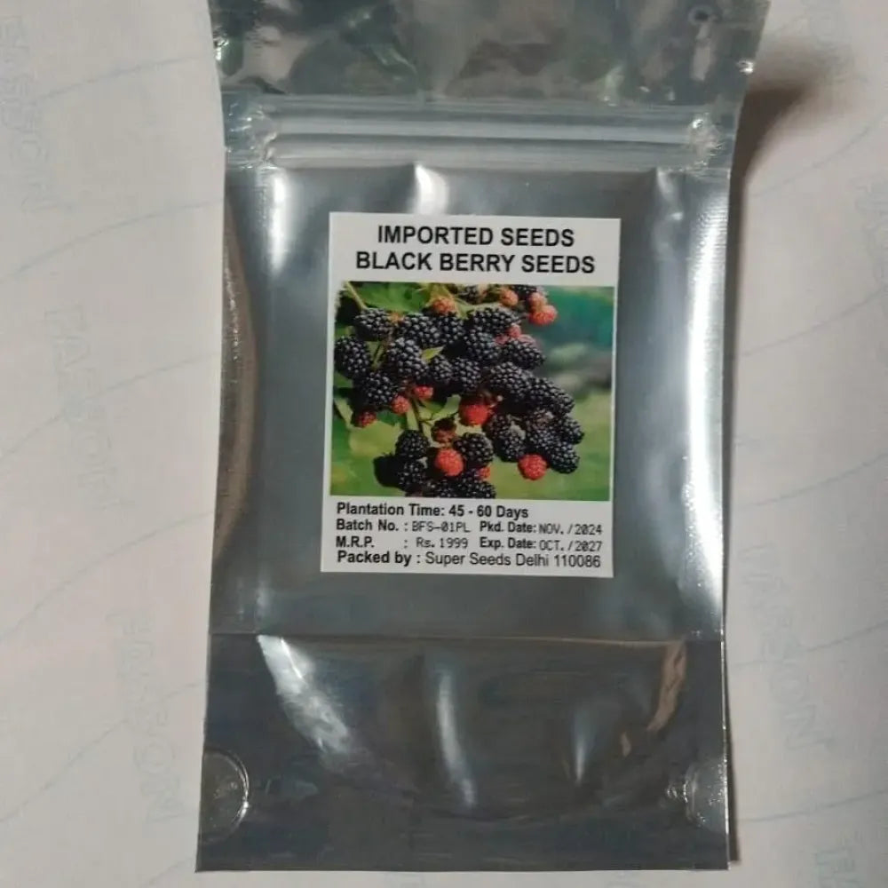 Sweet giant blackberry seeds – pack of 1