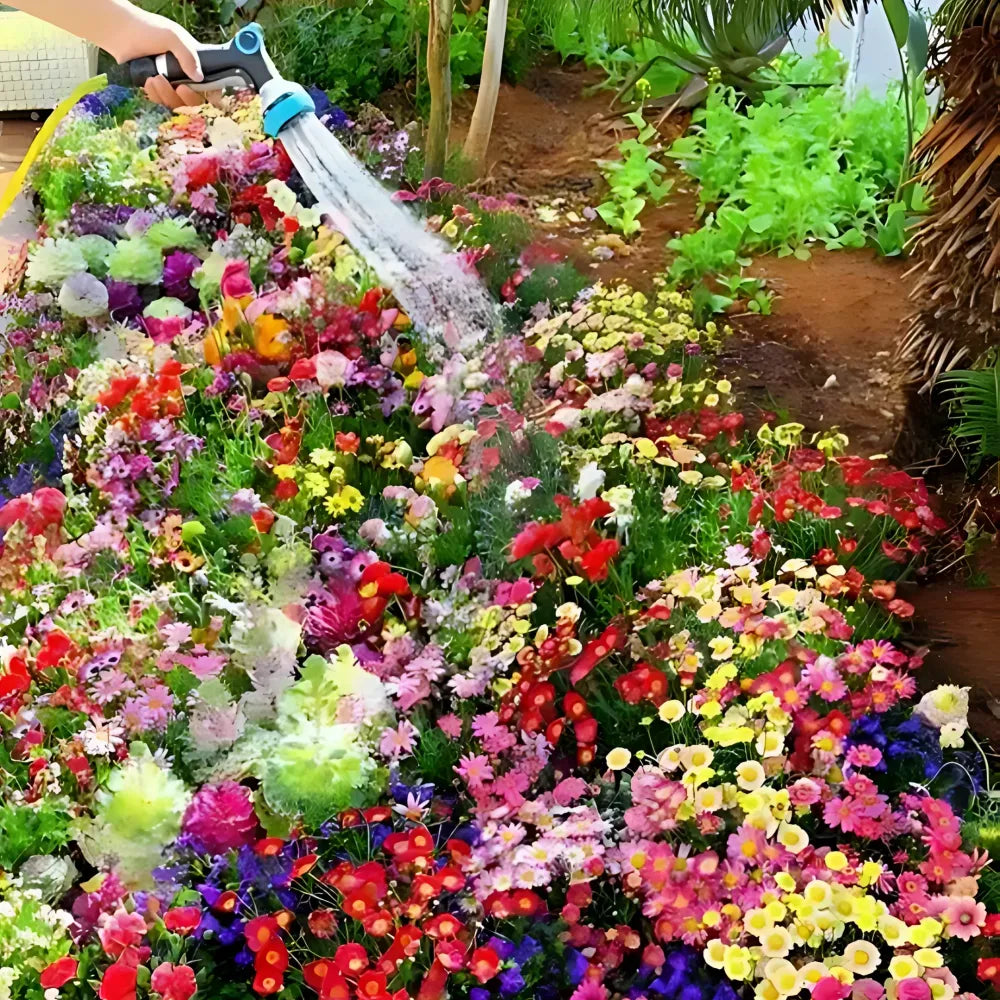 Varieties of flower seeds (pack 100)