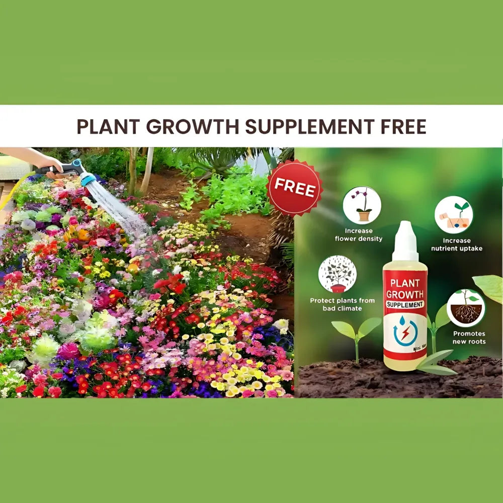 Varieties of flower seeds (pack 100)