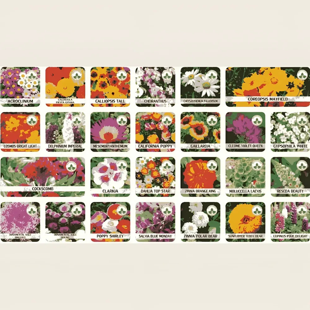 Varieties of flower seeds (pack 100)