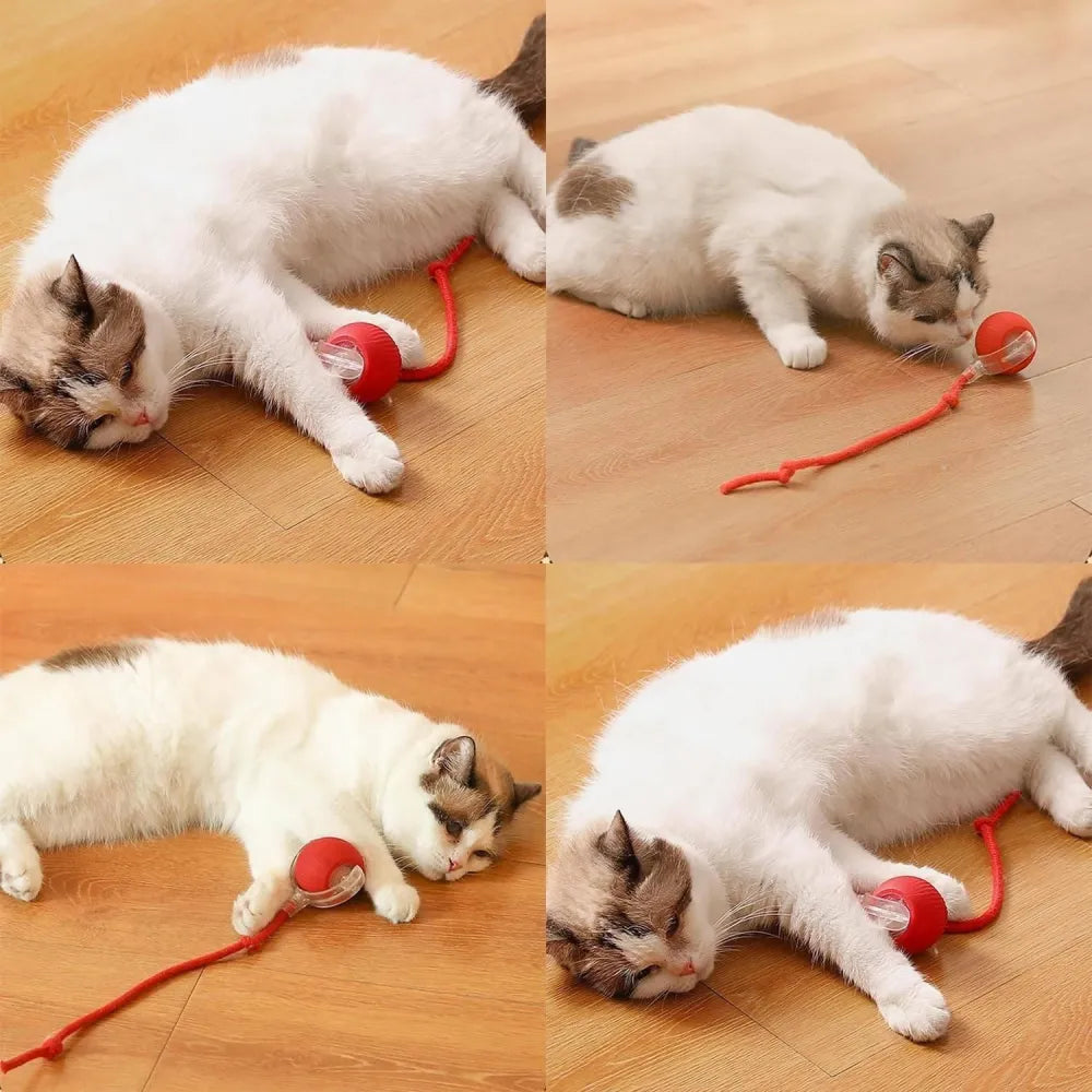 Viral rolling ball,interactive cat ball toy