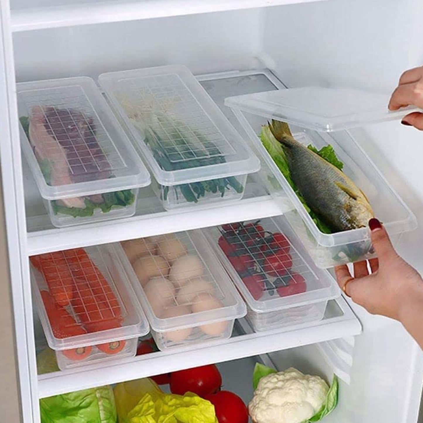 6-Pack Fridge Storage Boxes