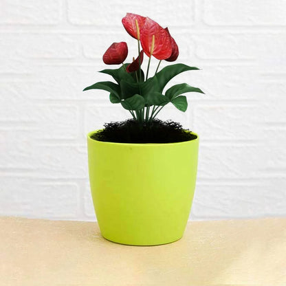 Colorful Round Flower Pots