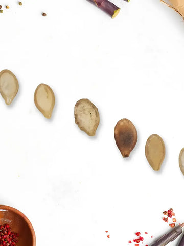 15 Organic & Hybrid Veggie Seeds