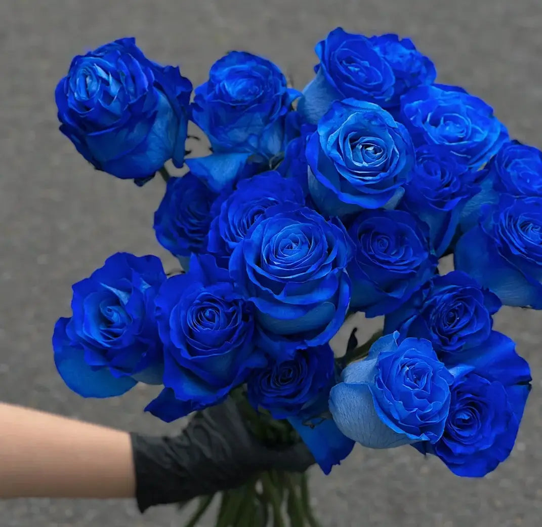 Blue climbing rose seeds