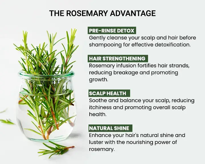 Rosemary water hair spray for regrowth (pack of 3)